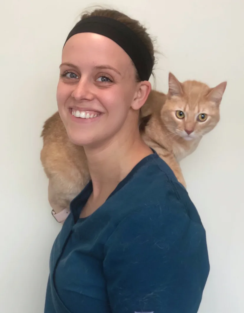 Bethany at Clocktower Animal Hospital, with cat on shoulders